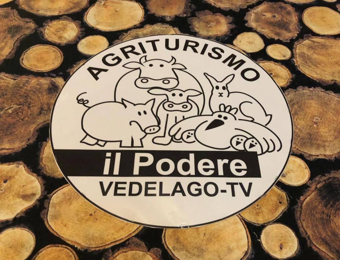 Agriturismo Il Podere Vedelago Con San Bernardo, Alpaca E Una Pentola Di Cose Da Scoprire Exteriér fotografie