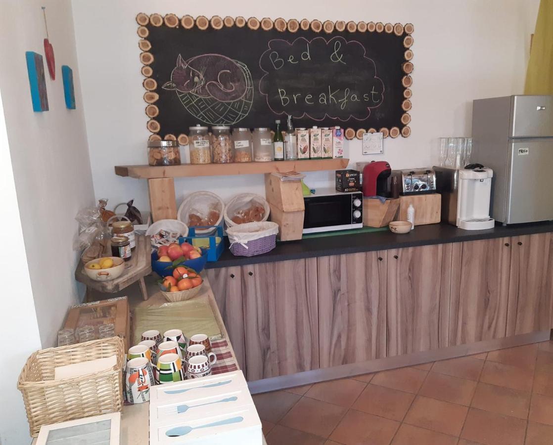 Agriturismo Il Podere Vedelago Con San Bernardo, Alpaca E Una Pentola Di Cose Da Scoprire Exteriér fotografie