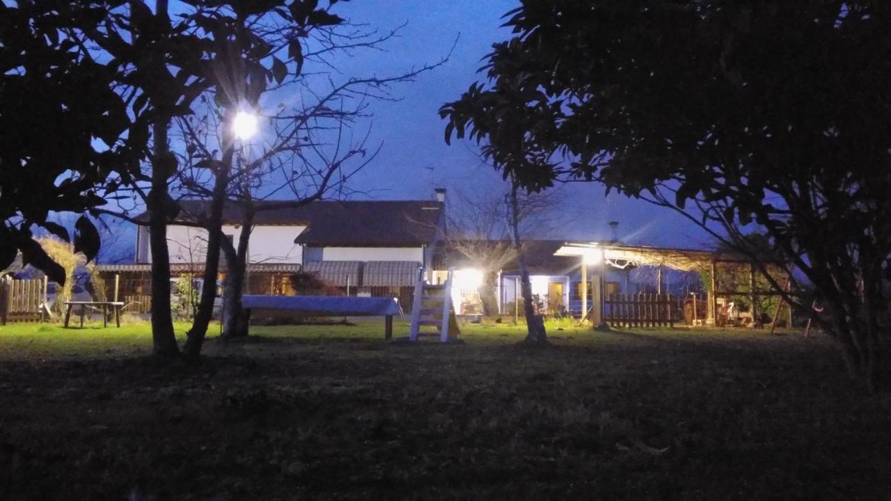 Agriturismo Il Podere Vedelago Con San Bernardo, Alpaca E Una Pentola Di Cose Da Scoprire Exteriér fotografie